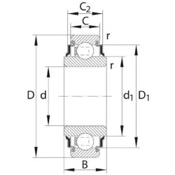 Rutulinis guolis 205PP10