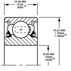 Rutulinis guolis P204RR6