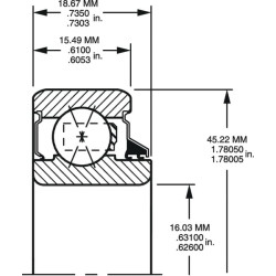Rutulinis guolis 204PY2