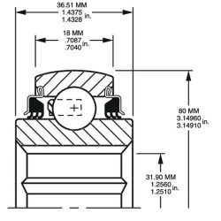 Rutulinis guolis W208PPB16