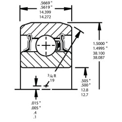 Rutulinis guolis 202KRR7