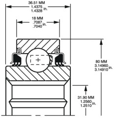 Rutulinis guolis W208PP21
