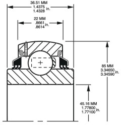 Rutulinis guolis GW209PPB11