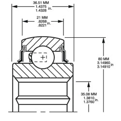Rutulinis guolis W208KRRB6