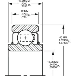 Rutulinis guolis 203RR2