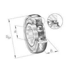 Giliųjų griovelių rutulinis guolis 28,57x72x37,7x17 mm INA/FAG SK102207KRRBAH10