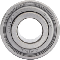 Ritininis guolis 203RRR2G