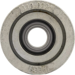 Pilnas guolių mazgas 205RRP60FCA