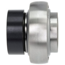 Ritininis guolis HCN206A