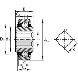 Guolis 1-9/16"x100x36mm INA/FAG GVK109211KTTBAS2V