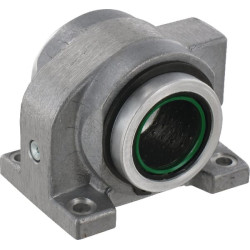 Linijinis slydimo guolis PAGBA30PPAS