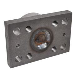 Kombinuotas guolis su flanšu CR4057AP2