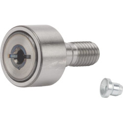 Vikšro volelis KR19