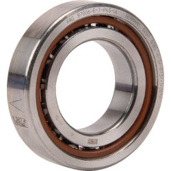 Veleno guolis 30x55x13mm INA/FAG B7006ETP4SUL