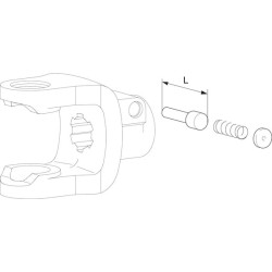 Agraset QR kaištis AG100