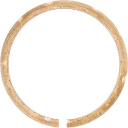 Fiksavimo žiedas 42 Walterscheid 620700