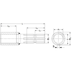 PTO adapteris Ø40 + raktas 1.3/8-6 6710191KR