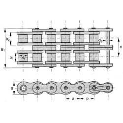 Dviguba ritininė grandinė ASA 80 KD80