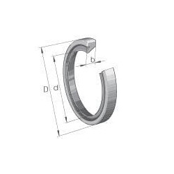 Alyvos sandariklis 5x9x2mm, tipas: GR INA/FAG GR592