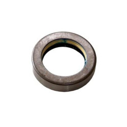 Kardaninio veleno sandariklis VPJ3497