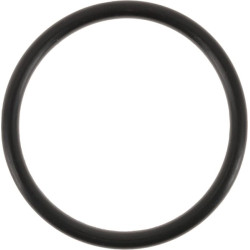 O formos žiedas 5x2 75 Shore Viton 10x OR52VP010