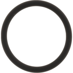 O formos žiedas 28x3 75 Shore Viton 10x OR283VP010