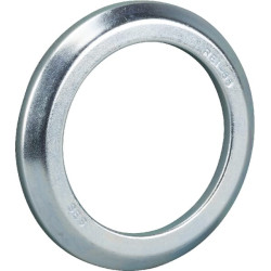 „Alphaseal RCL“ 55x77x5,5 AS557755RCLP001