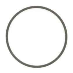 Alyvos sandariklis Case - IH 1995100C1