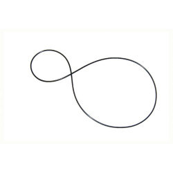 O formos žiedas NWS01135