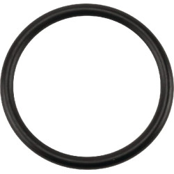 O formos žiedas NWS01517