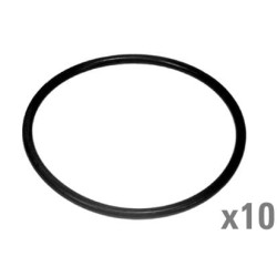 O žiedas (x10) VFE1065