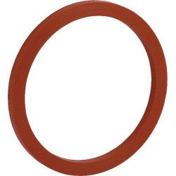 Pieno jungties tarpinė DN50 MCG50SIL