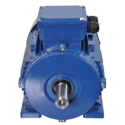 Elektrinis variklis 3 kW EM100L2B3300IE3AKR