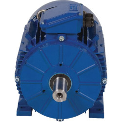 Elektrinis variklis 5,5 kW EM132S4B3500IE3AKR