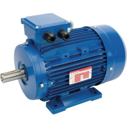 Elektrinis variklis 3 kW EM100LB4B3300IE3A