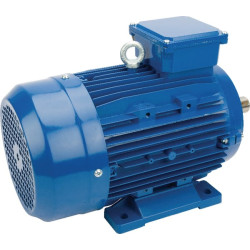 Elektrinis variklis 3 kW EM100LB4B3300IE3A