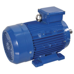 Elektrinis variklis 7,5 kW EM132M2B3500IE3AKR