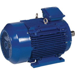 Elektrinis variklis 7,5 kW EM132M4B3500IE3AKR