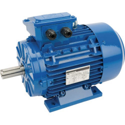 Elektrinis variklis 2,2 kW EM100LA4B3300IE3A