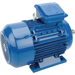 Elektrinis variklis 2,2 kW EM100LA4B3300IE3A
