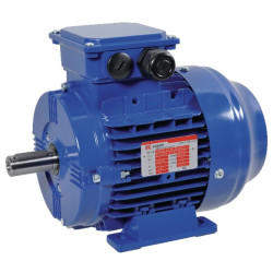 Elektrinis variklis 0,75 kW EM90S6B3300IE3AKR