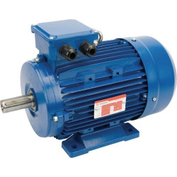 Elektrinis variklis 3 kW EM100LB4B3500IE3A