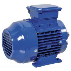 Elektrinis variklis 1,1 kW EM90L6B3300IE3AKR