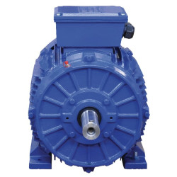 11 kW elektros variklis EM160M4B3500IE3GKR