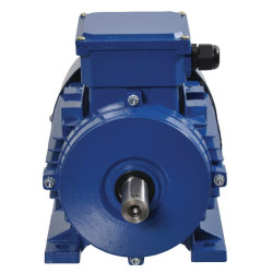 Elektrinis variklis 2,2 kW EM90L2B3300IE3AKR