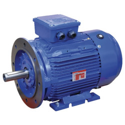 22 kW elektrinis variklis EM180L4B3B5500IE3G