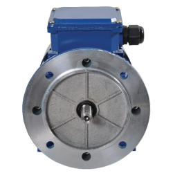 Elektrinis variklis 0,37 kW EM71B4B3B5300IE2A