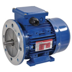 Elektrinis variklis 0,55 kW EM71B2B3B5300IE2A