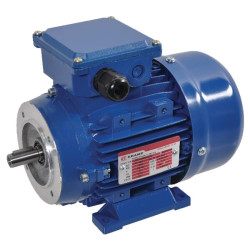 Elektrinis variklis 0,55 kW EM71B2B3B14300IE2A