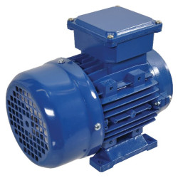 Elektrinis variklis 0,55 kW EM71B2B3B14300IE2A